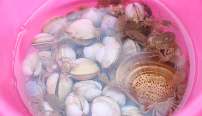 刘家湾赶海园什么时间去合适【刘家湾赶海最佳时间】