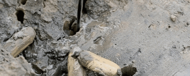 刘家湾赶海园什么时间去合适【刘家湾赶海最佳时间】