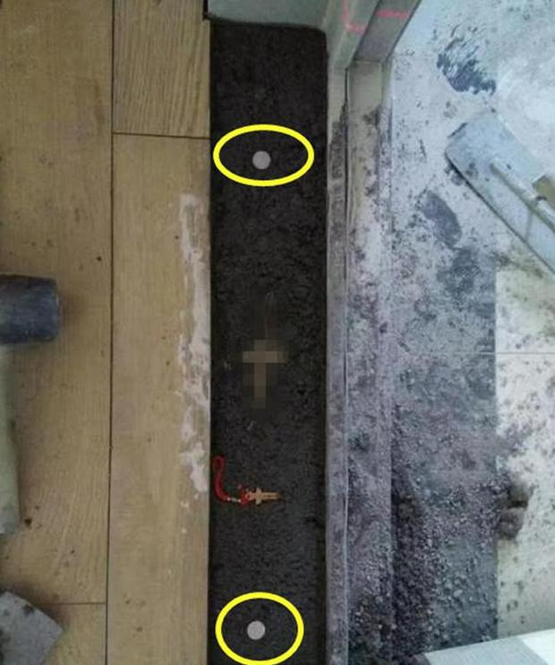 出入平安硬币摆放图需要几个硬币【出入平安硬币摆放图朝内还是朝外】