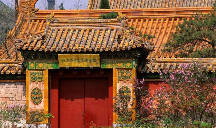 楼房左侧有电线杆青龙【大门左右都有电线杆】