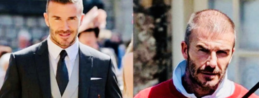 美的标准是什么是谁定义了这样的标准【美的标志图片】