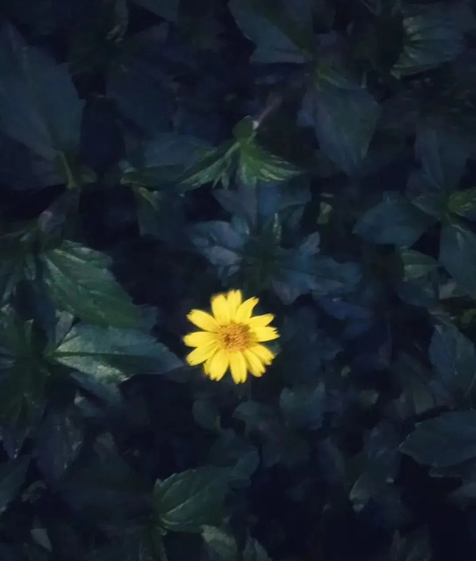 ps怎么做出一束光的感觉【ps怎么弄一束光】