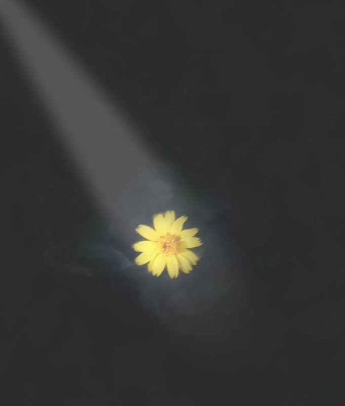 ps怎么做出一束光的感觉【ps怎么弄一束光】