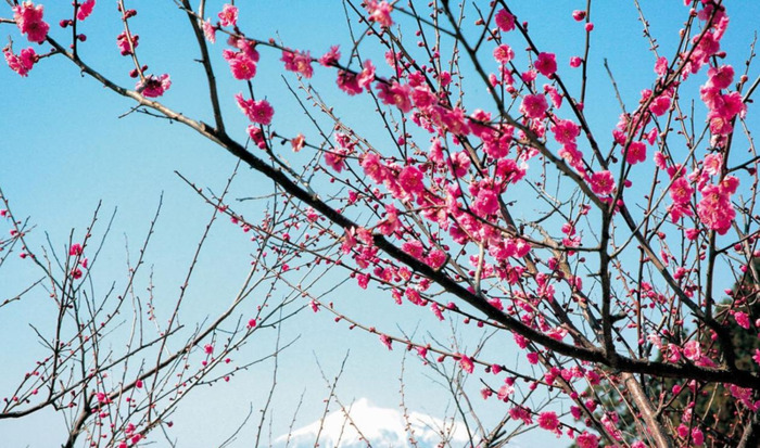 给男生的生日祝福语英文【适合给男生的生日祝福语】