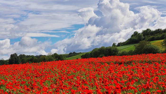 给男生的生日祝福语英文【适合给男生的生日祝福语】