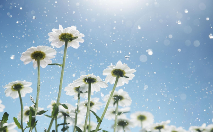 给男生的生日祝福语英文【适合给男生的生日祝福语】