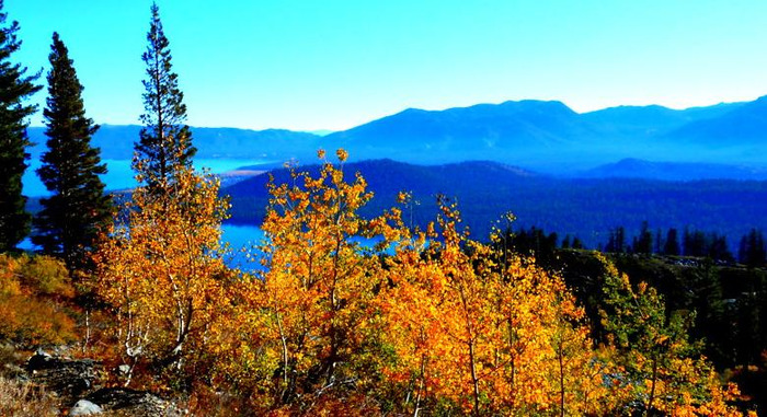给男生的生日祝福语英文【适合给男生的生日祝福语】
