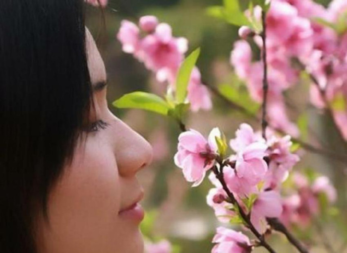 八字什么桃花威力大【八字各种桃花的威力】