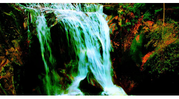 狂泉文言文翻译及注释拼音【狂泉文言文的翻译】