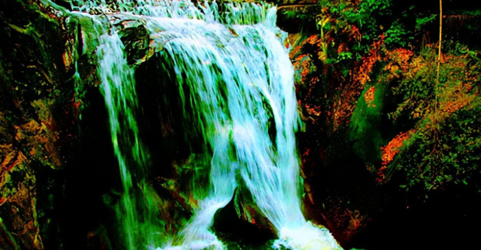 狂泉文言文翻译及注释拼音【狂泉文言文的翻译】