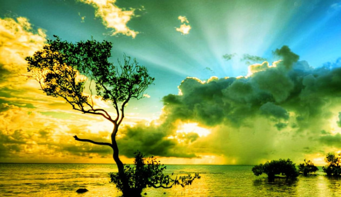 狂泉文言文翻译及注释拼音【狂泉文言文的翻译】