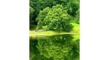 即使也造句四年级简单【即使也造句四年级下册】