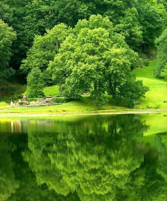 即使也造句四年级简单【即使也造句四年级下册】