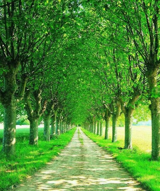 即使也造句四年级简单【即使也造句四年级下册】