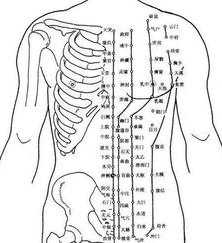 肚子的经络位置图【肚子准确位置图片】