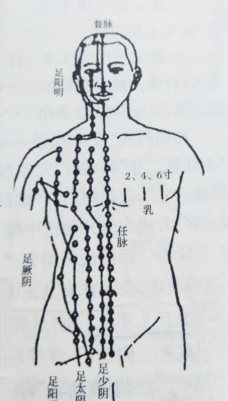 肚子经络走向图图片