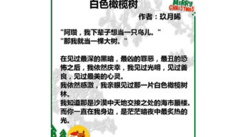 白色橄榄树作者简介【白色橄榄树作者是宋冉本人吗】