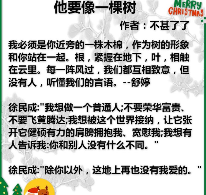 白色橄榄树作者简介【白色橄榄树作者是宋冉本人吗】