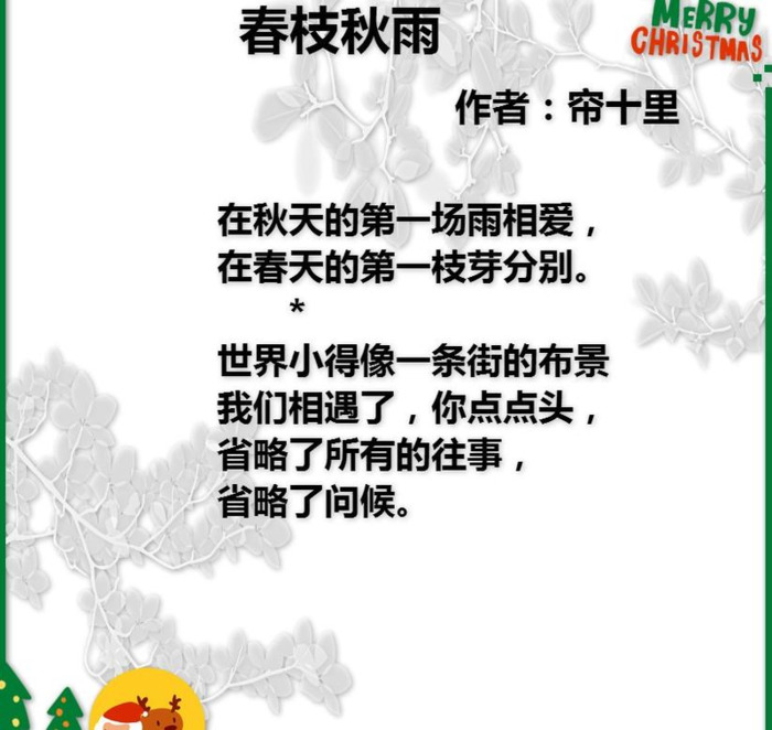 白色橄榄树作者简介【白色橄榄树作者是宋冉本人吗】