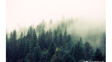 关于努力实现梦想的文案【奔赴梦想的文案】