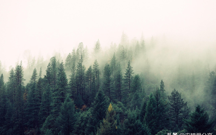 关于努力实现梦想的文案【奔赴梦想的文案】