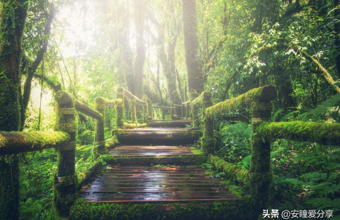 关于努力实现梦想的文案【奔赴梦想的文案】