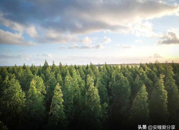 关于努力实现梦想的文案【奔赴梦想的文案】