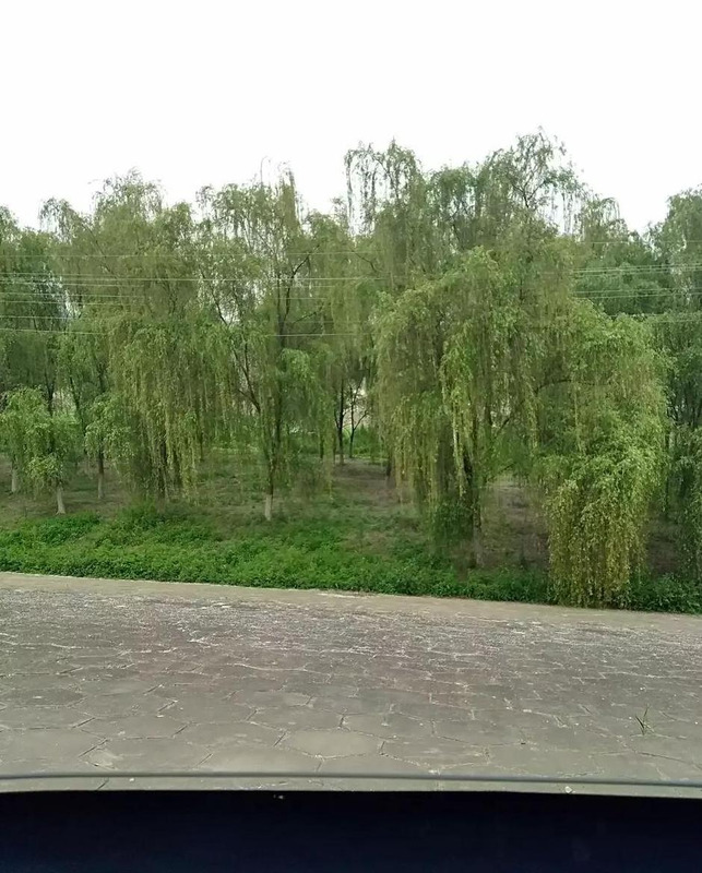 20公斤寄什么物流便宜【省内寄20公斤包裹哪个便宜】