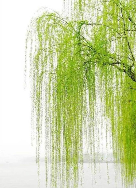 20公斤寄什么物流便宜【省内寄20公斤包裹哪个便宜】