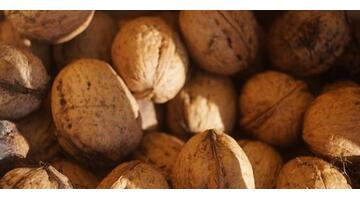 女人能吃核桃吗【女人常吃核桃好吗】