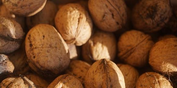 女人能吃核桃吗【女人常吃核桃好吗】