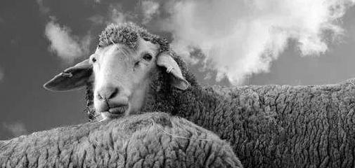 蛙趣视频为什么不运行了【蛙趣视频没有内容了】