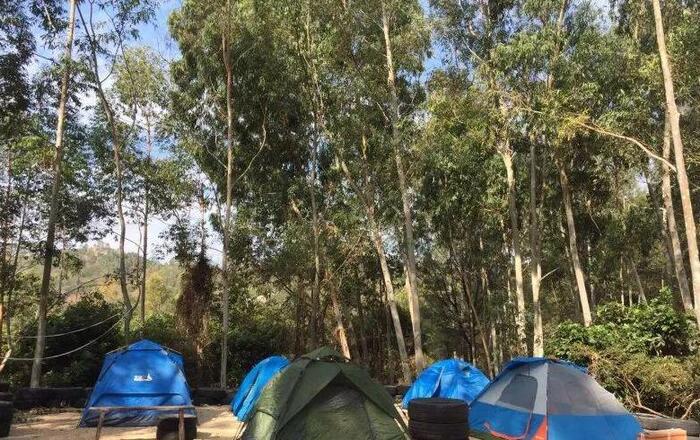 聚龙小镇聚龙岛门票多少钱【聚龙岛旅游攻略】