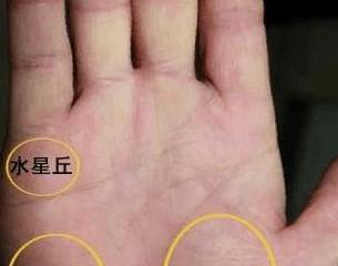 月丘的位置【月丘在哪个位置图】