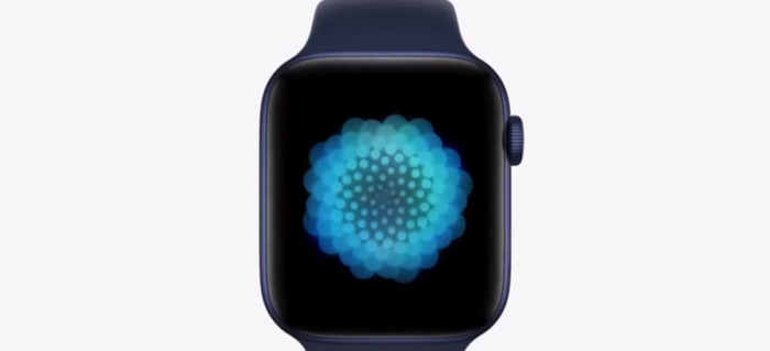 苹果手表更新十几个小时【苹果手表更新要多久】