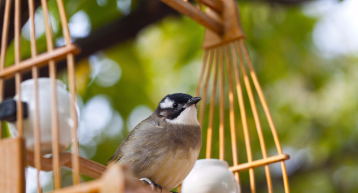 宰相肚子里能撑船的典故【宰相肚子里能撑船的由来】