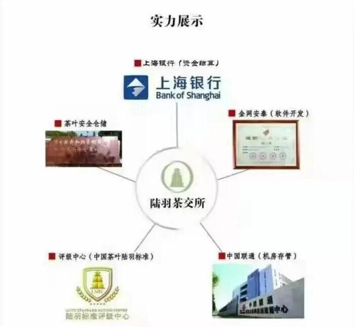 陆羽会的真实现状【陆羽会最新骗局】