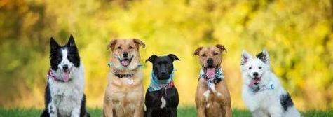 没人注意的暴利行业什么行业最吃香【有啥暴利行业】