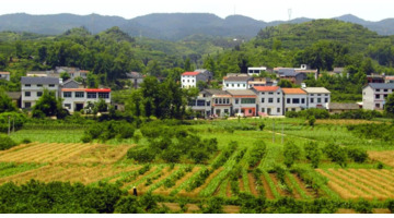 膏药的销售模式有哪几种【制造业销售模式有哪几种】