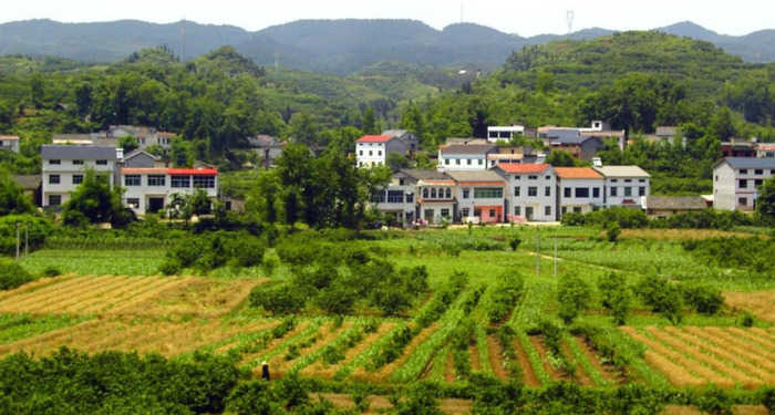 膏药的销售模式有哪几种【制造业销售模式有哪几种】