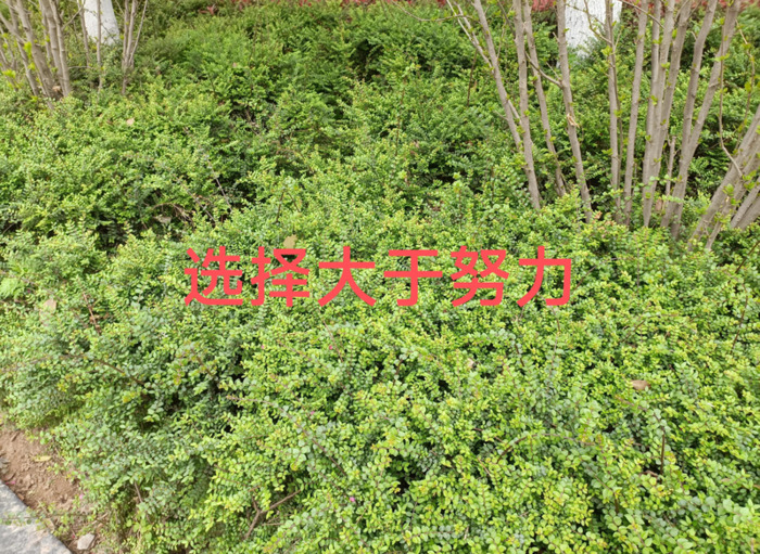 现在穷人如何翻身【穷人如何翻身挣钱下载】