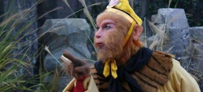 孙悟空本人真实照片【孙悟空死后的身体】