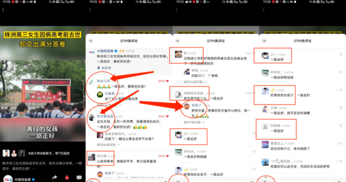视频号名字为什么总是显示被使用【视频号名字可以修改吗?】
