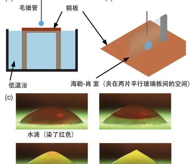 滴水成冰实验步骤及原理【滴水成冰是化学变化吗】