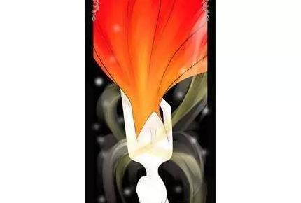 心理测试我们该分手吗【该不该分手心理测试把感情问题丢给男生选择】