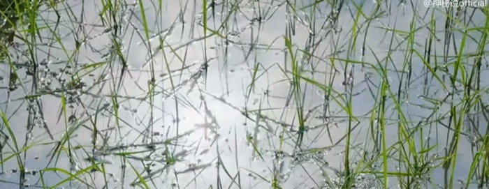 地母经全文2022年预测视频【地母经全文2022年预测鸡在这一年的才运】