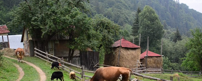 地母经全文2022年预测视频【地母经全文2022年预测鸡在这一年的才运】