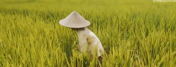 地母经全文2022年预测视频【地母经全文2022年预测鸡在这一年的才运】