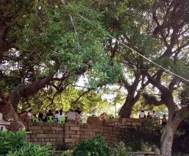 福建六鳌有什么景点【六鳌景点图片大全】