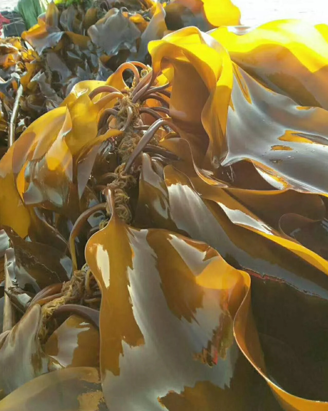 福建六鳌有什么景点【六鳌景点图片大全】